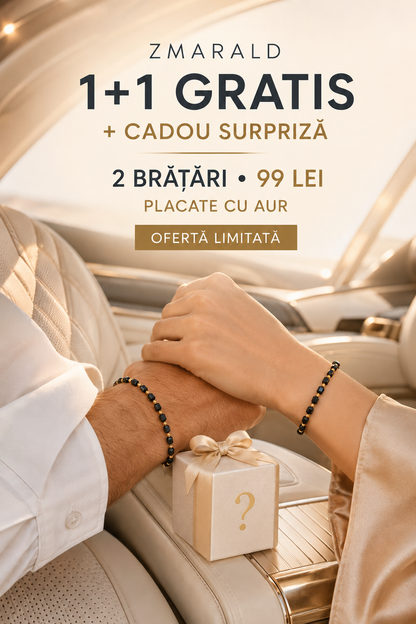 Bratara Cub Negru 1+1 + Cadou Surpriza- Placata cu Aur de 18K